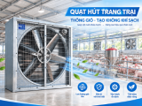 QUẠT HÚT TRANG TRẠI CHĂN NUÔI CHỌN ĐÚNG GIẢM NÓNG CHUỒNG NUÔI